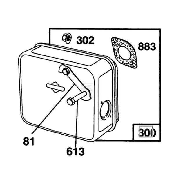 Escape - 492746 - Briggs & Stratton