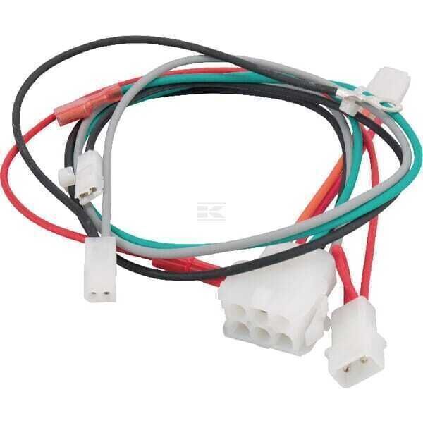 Arnés de cables - 698329 - Briggs & Stratton