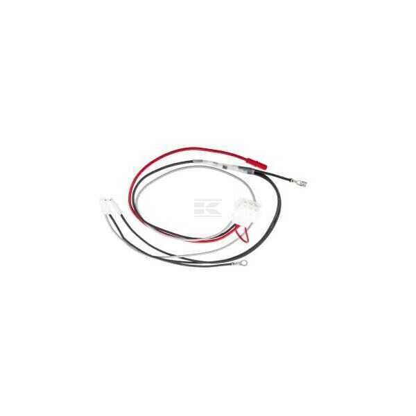 Arnés de cables - 796860 - Briggs & Stratton