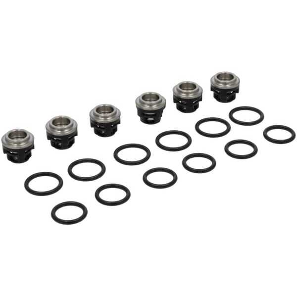BS Briggs & Stratton OE - 193955GS - Kit-check valve