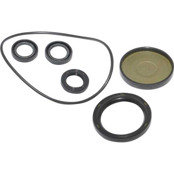 BS Junta de motor Briggs & stratton - 202B2126GS - Kit-Oil Seal