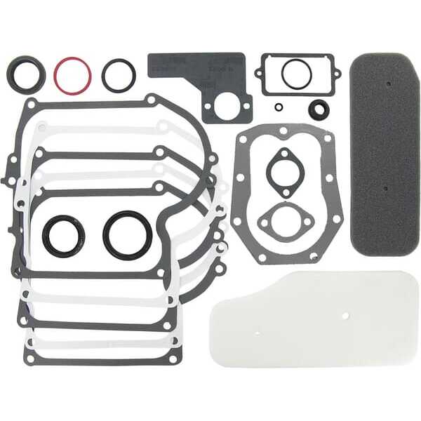 Briggs & Stratton Junta de motor Briggs & stratton - 393411 - Kit de juntas