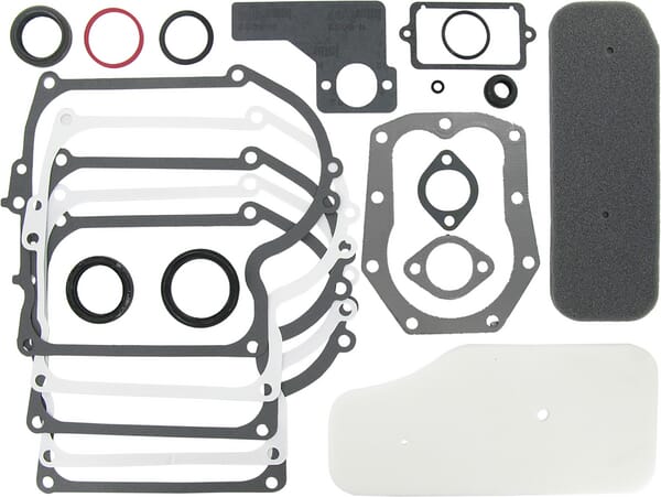 Briggs & Stratton Junta de motor Briggs & stratton - 393411 - Kit de juntas