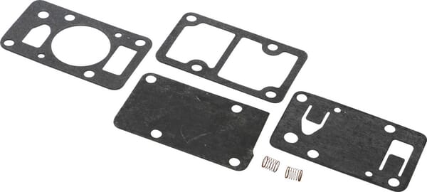 Conjunto de bomba de combustible - 394462 - Briggs & Stratton