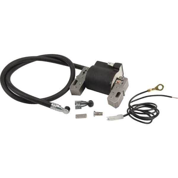 Briggs & Stratton Bobinas de encendido - 398811 - Bobina de encendido, Briggs & Stratton