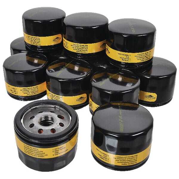 Briggs & Stratton Filtros de aceite - 4237 - J. filtros de aceite 12x842921