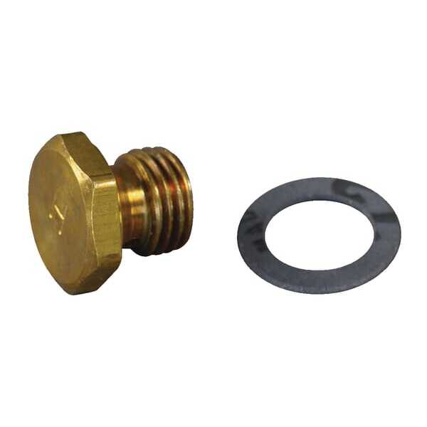 Dyse - 493869 - Briggs & Stratton