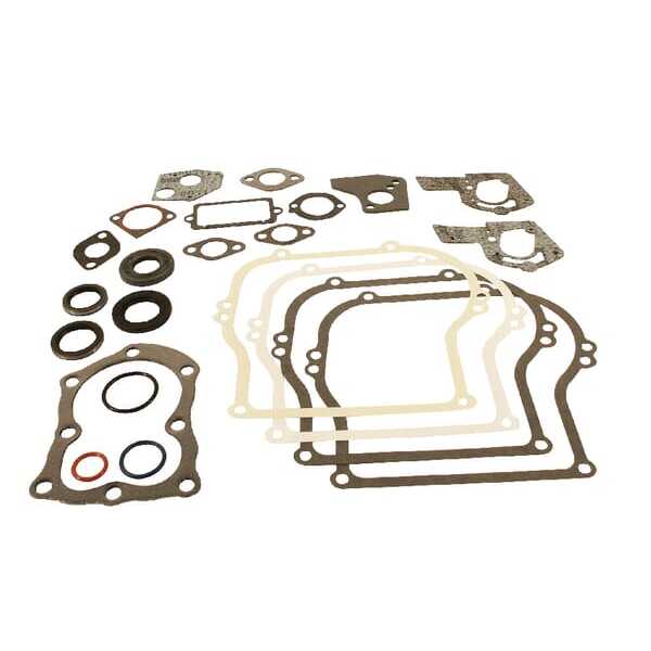 Briggs & Stratton Junta de motor Briggs & stratton - 495603 - Kit de juntas