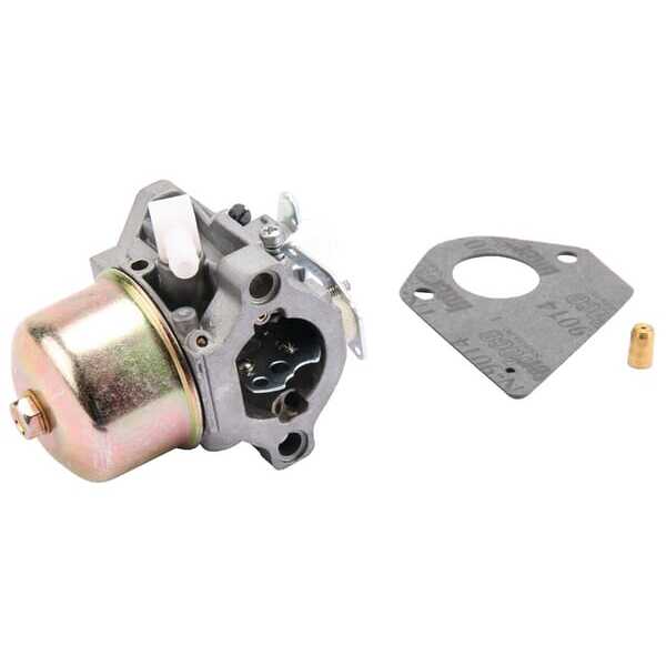 Briggs & Stratton Carburador - 495782 - Carburador