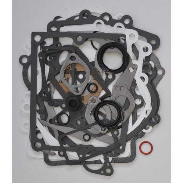 Briggs & Stratton Junta de motor Briggs & stratton - 495868 - Kit de juntas