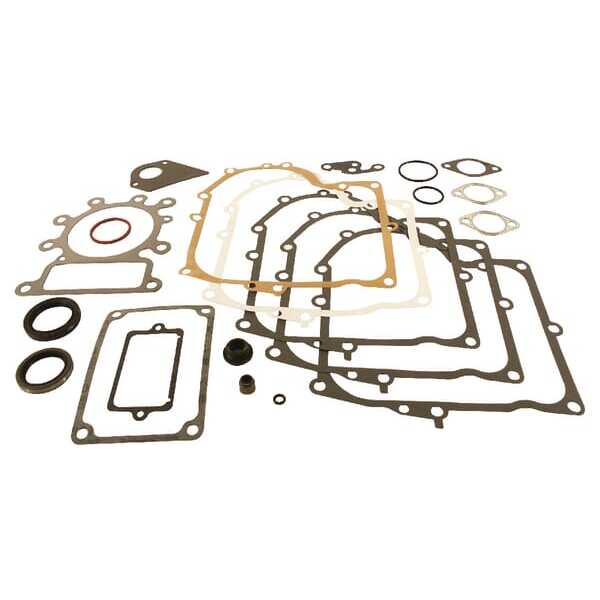 Briggs & Stratton Junta de motor Briggs & stratton - 495993 - Kit de juntas