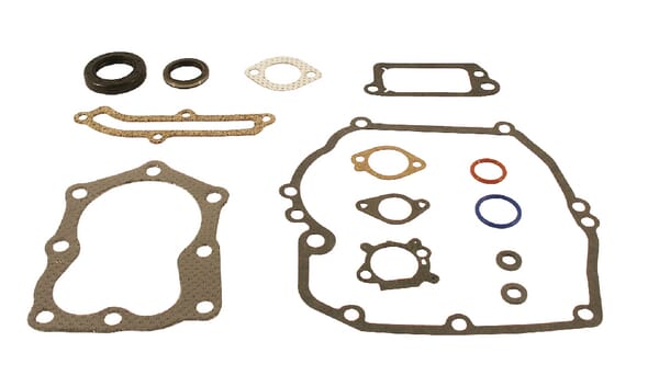 Briggs & Stratton Junta de motor Briggs & stratton - 496117 - Kit de juntas