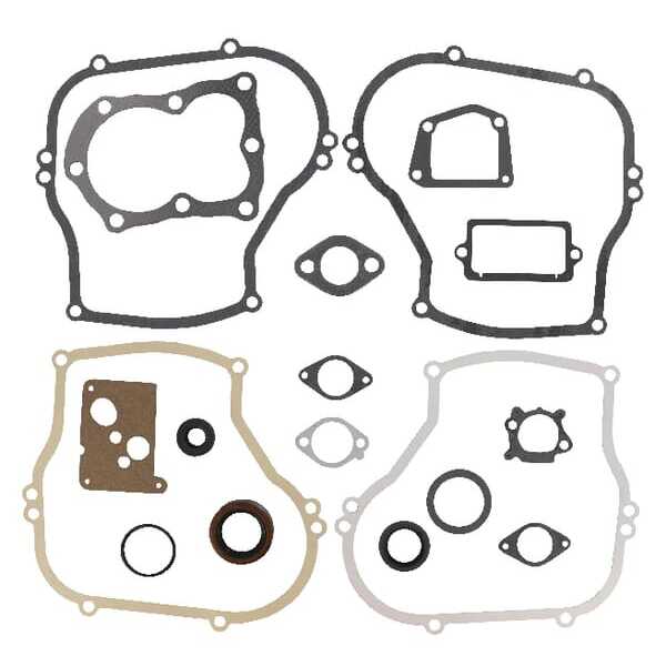 Briggs & Stratton Junta de motor Briggs & stratton - 496659 - Juego de juntas