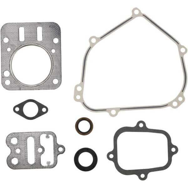 BS Junta de motor Briggs & stratton - 555631 - Gasket set-engine