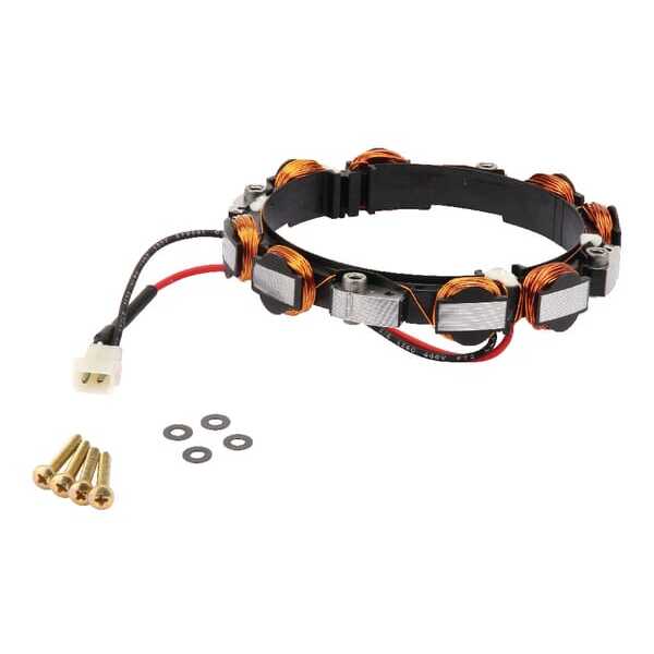 Briggs & Stratton Alternadores y accesorios - 592831 - Dínamo de alumbrado