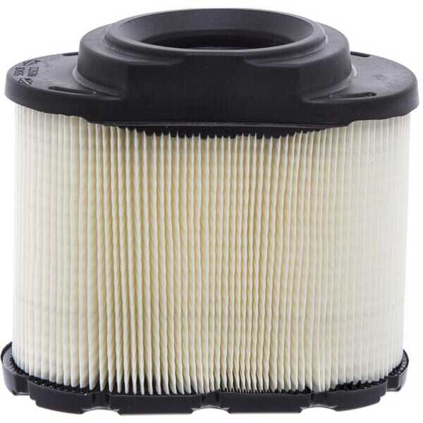 Briggs & Stratton Filtro de aire ovalado - 593240 - Cartucho de filtro A/C
