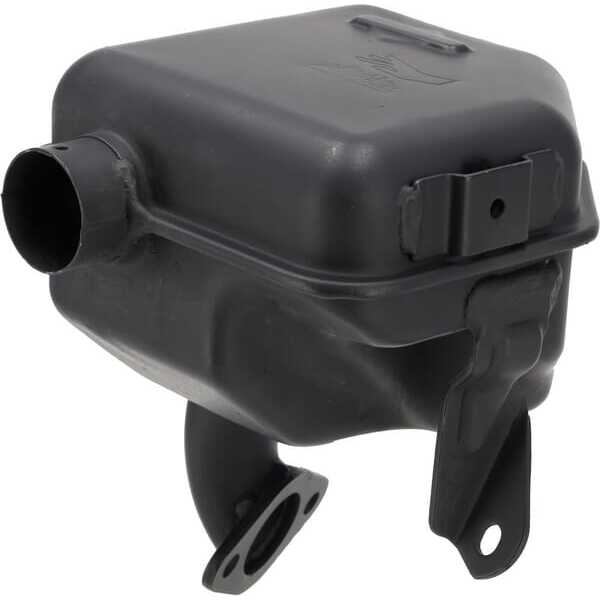 Escape - 593836 - Briggs & Stratton