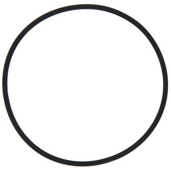 Empaque - 594861 - Briggs & Stratton