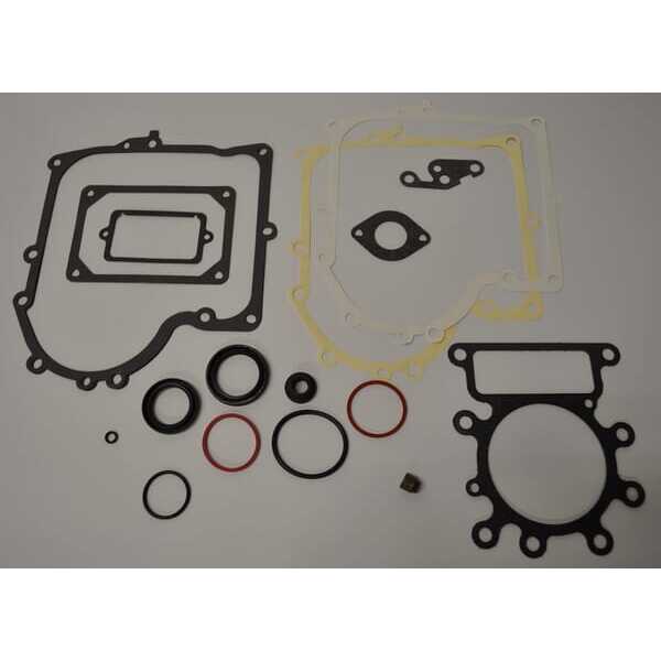 Briggs & Stratton Junta de motor Briggs & stratton - 691580 - Kit de juntas