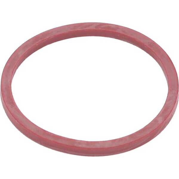 Sello-O Anillo - 691917 - Briggs & Stratton