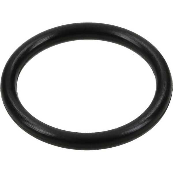 Anillo O - 692019 - Briggs & Stratton