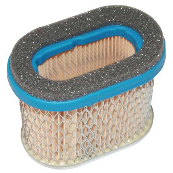Briggs & Stratton Filtro de aire ovalado - 692446 - Filtro de aire (VF273356S)