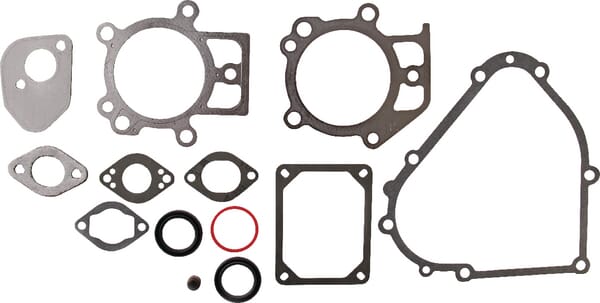 Briggs & Stratton Junta de motor Briggs & stratton - 695438 - Juego de juntas