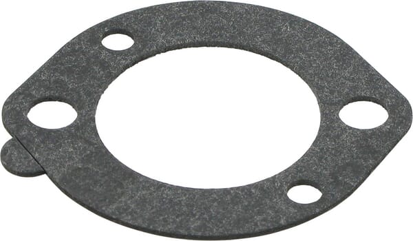 Junta de filtro - 696024 - Briggs & Stratton