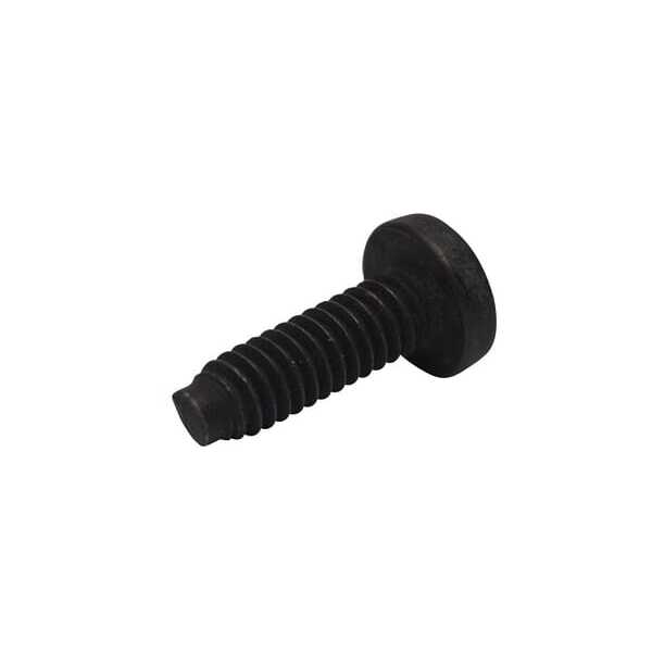 BS Pernos OE - 696255 - TORNILLO