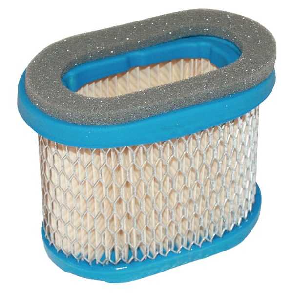 Briggs & Stratton Filtro de aire ovalado - 697029 - Filtro de aire (VF273356S)(4207)