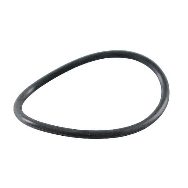 O-ring - 697123 - Briggs & Stratton