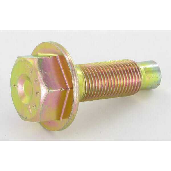 Tornillo - 698139 - Briggs & Stratton