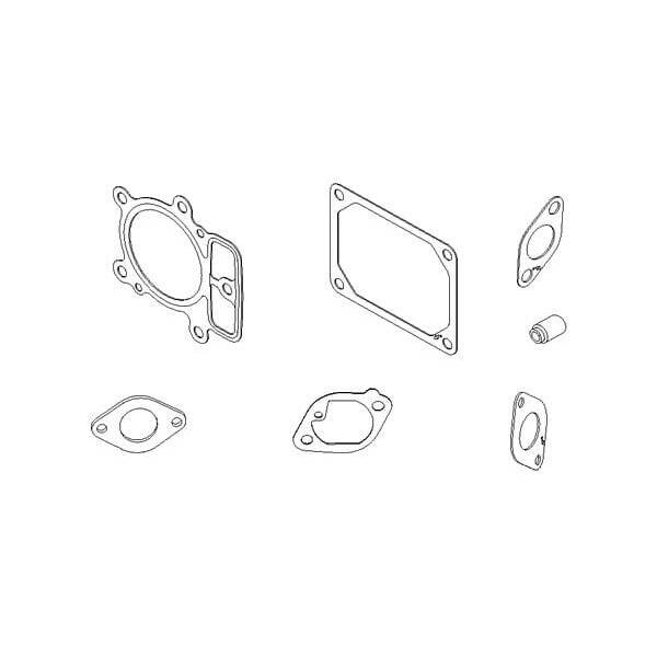 Briggs & Stratton Junta de tapaválvulas - 699822 - Gasket set-valve