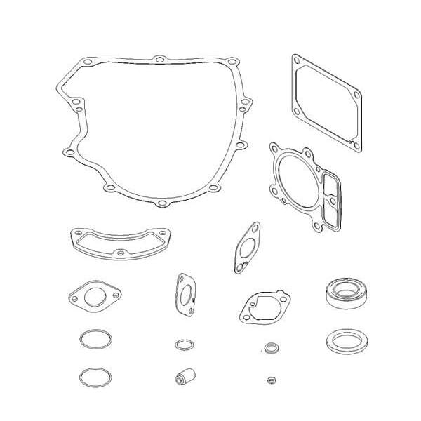 Briggs & Stratton Junta de motor Briggs & stratton - 699823 - Set de juntas