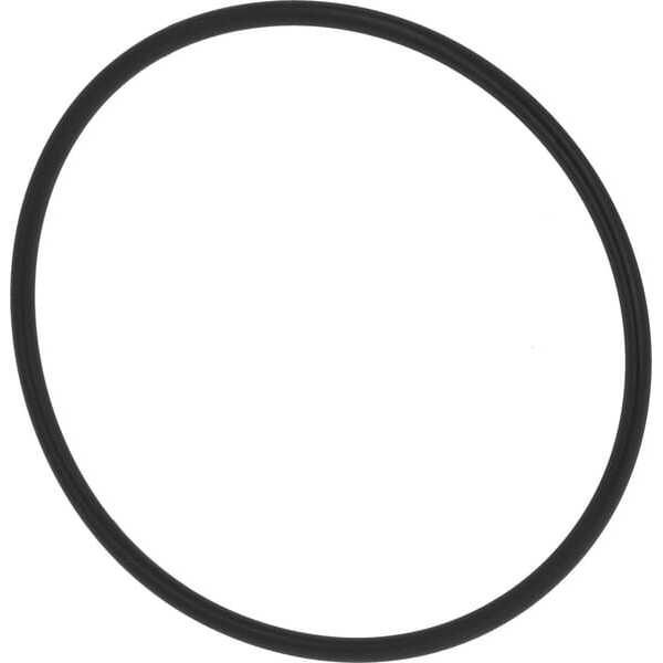 MTD Juntas tóricas - 75112772 - O-Ring