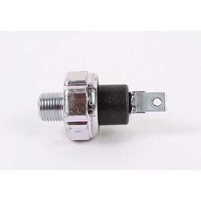 Contacto de aceite - 792028 - Briggs & Stratton