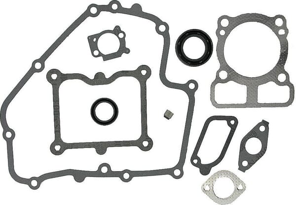 Briggs & Stratton Junta de motor Briggs & stratton - 793623 - Juego de juntas