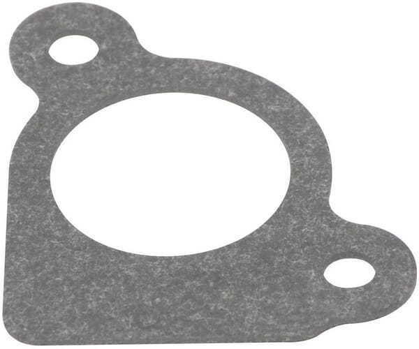 Briggs & Stratton Junta de filtro de aire - 794306 - Sellado de entrada