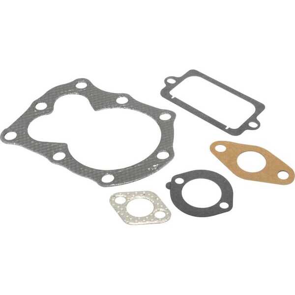 Briggs & Stratton Junta de motor Briggs & stratton - 795972 - Gasket set-valve
