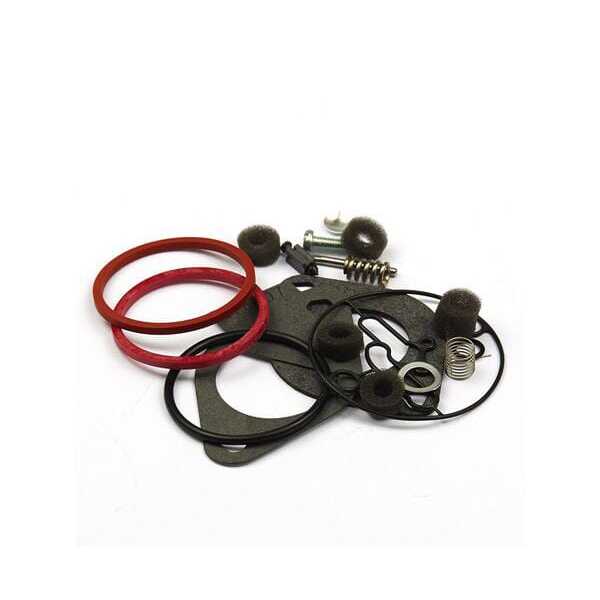 Briggs & Stratton Kit reparación carburador - 796184 - Set de juntas carburador