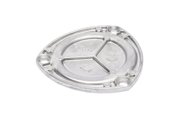 Tapa para la bomba de aceite - 796221 - Briggs & Stratton