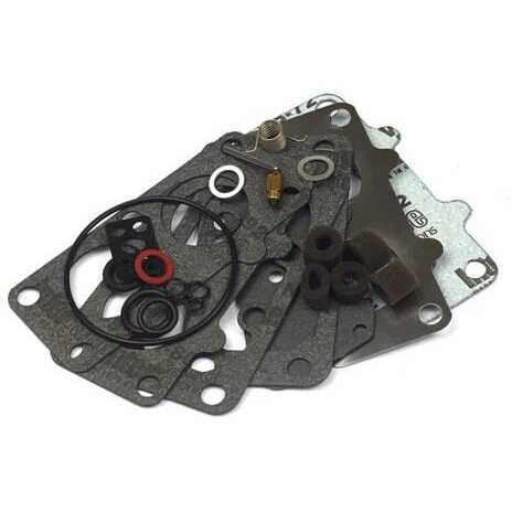 Briggs & Stratton Kit reparación carburador - 797890 - Juego de carburadores
