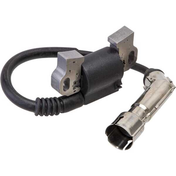 Briggs & Stratton Bobinas de encendido - 798616 - Bobina de encendido, Briggs & Stratton
