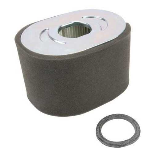 Filtro de aire - 799818 - Briggs & Stratton