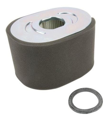Filtro de aire - 799818 - Briggs & Stratton