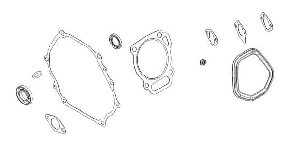Briggs & Stratton Junta de motor Briggs & stratton - 799952 - Set de juntas del motor
