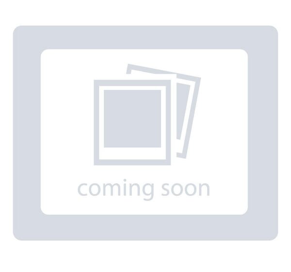 Briggs & Stratton Prefiltros - 805935 - Prefiltro