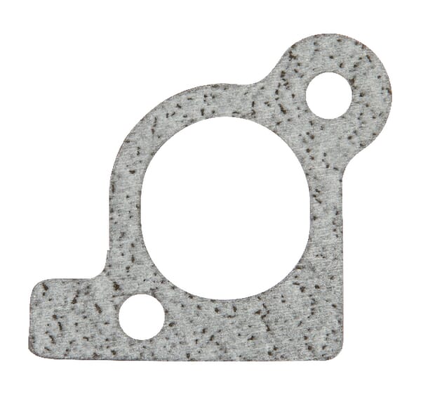 Briggs & Stratton Junta de filtro de aire - 806418 - Sellado de entrada