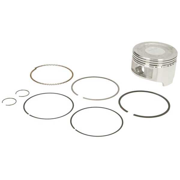 Briggs & Stratton Pistón - 84002533 - Piston assembly