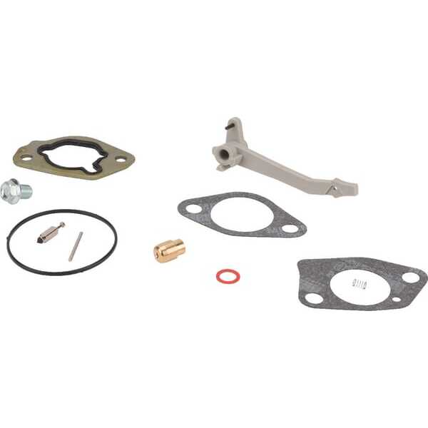 Briggs & Stratton Kit reparación carburador - 84004389 - Kit reparación carburador